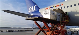 SAS-Cargo-tail