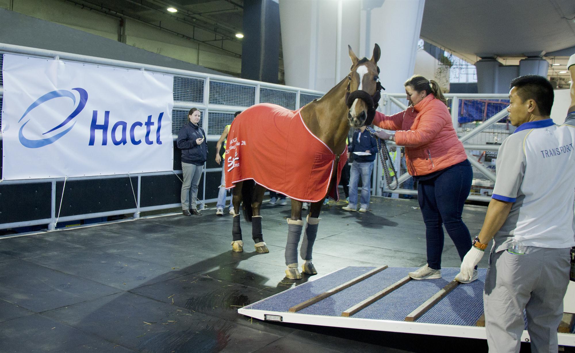 Self Photos / Files - Hactl Longines 2017