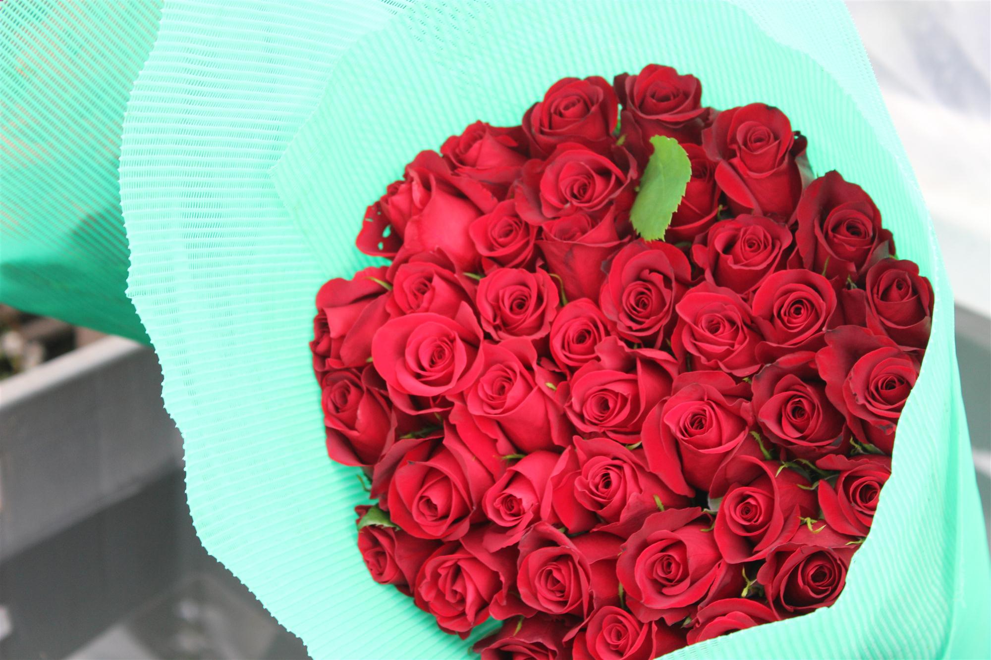 Self Photos / Files - LATAM flowers [3]