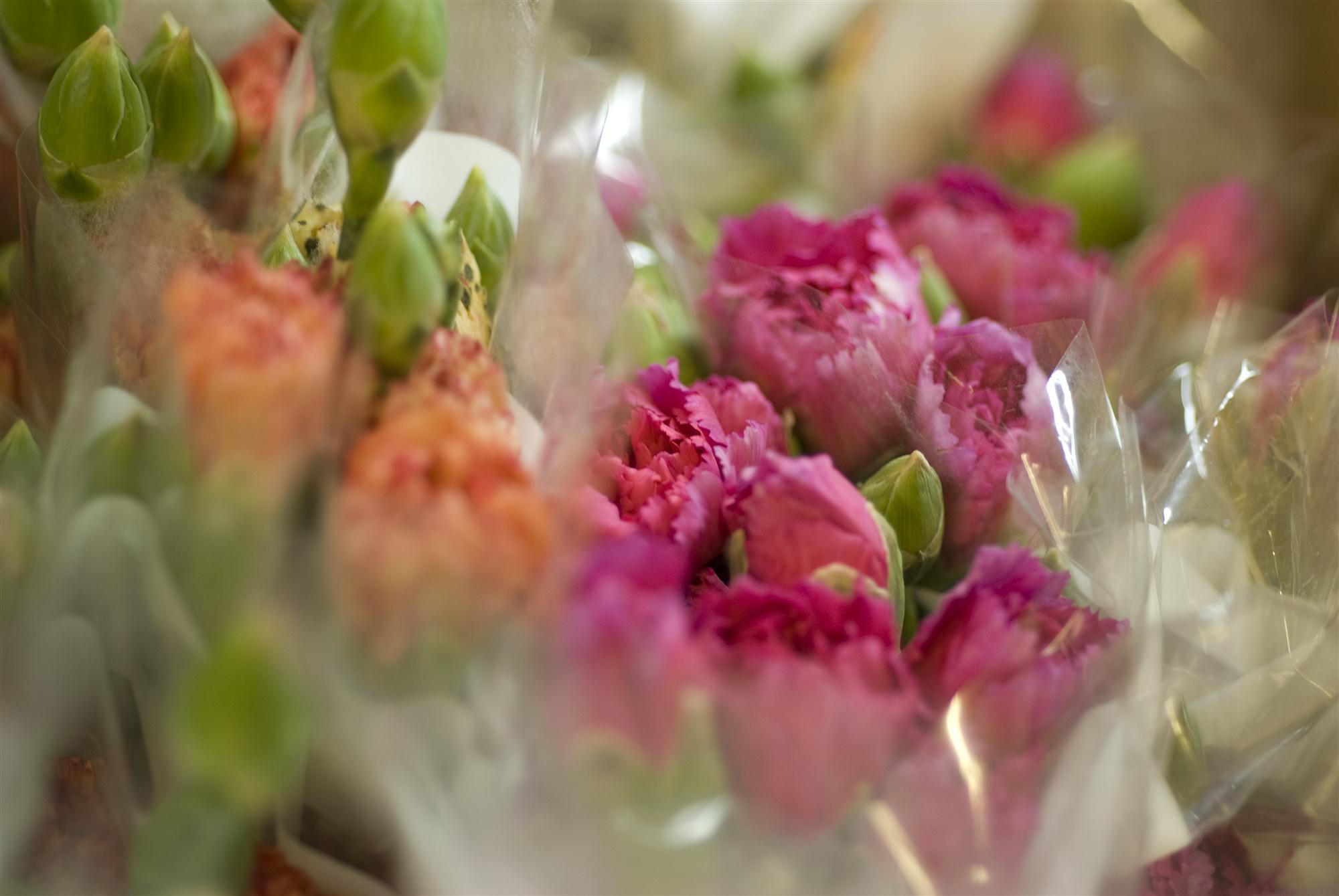 Self Photos / Files - IAG flowers