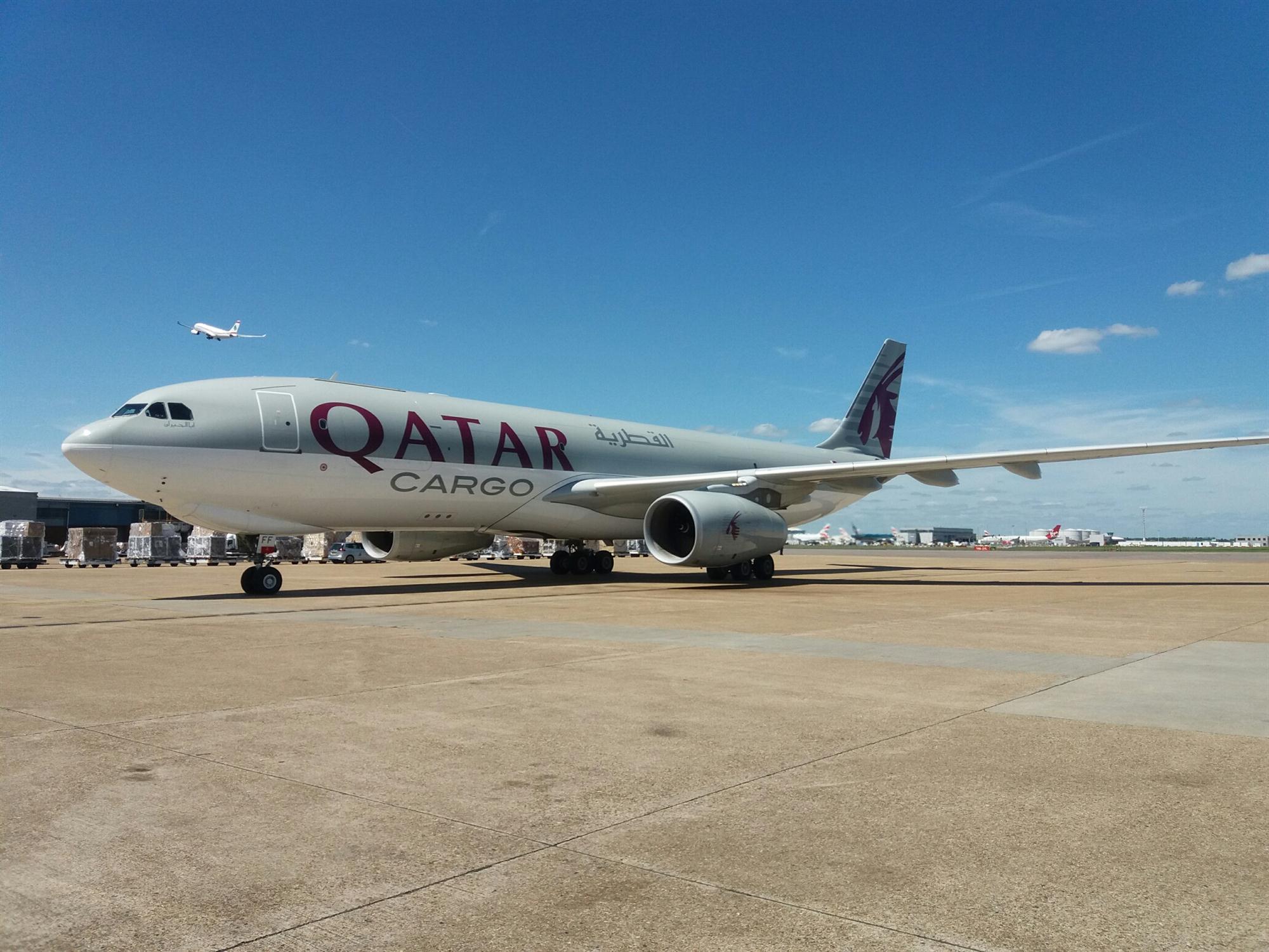 Self Photos / Files - QR33F LHR
