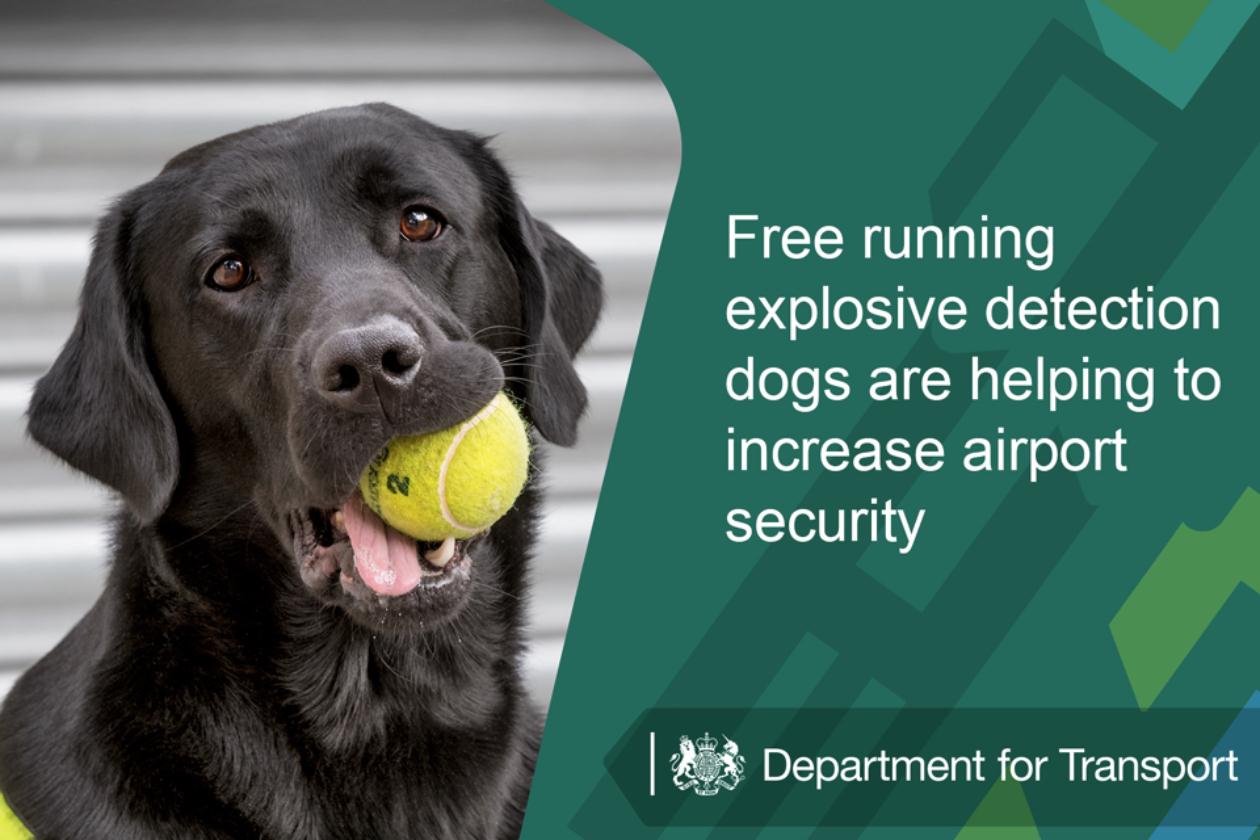 Self Photos / Files - Explosive dog sign