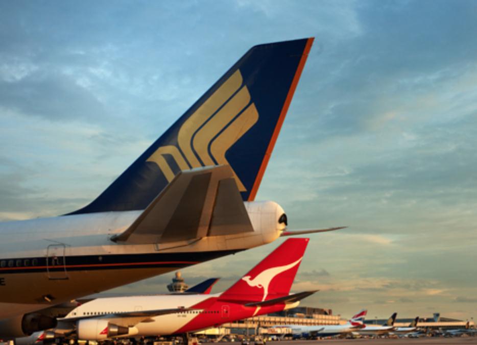 Self Photos / Files - Changi-Airport-Airside-Tailfins
