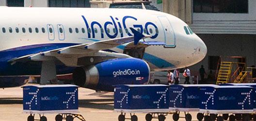 Self Photos / Files - Cargo_Indigo_2
