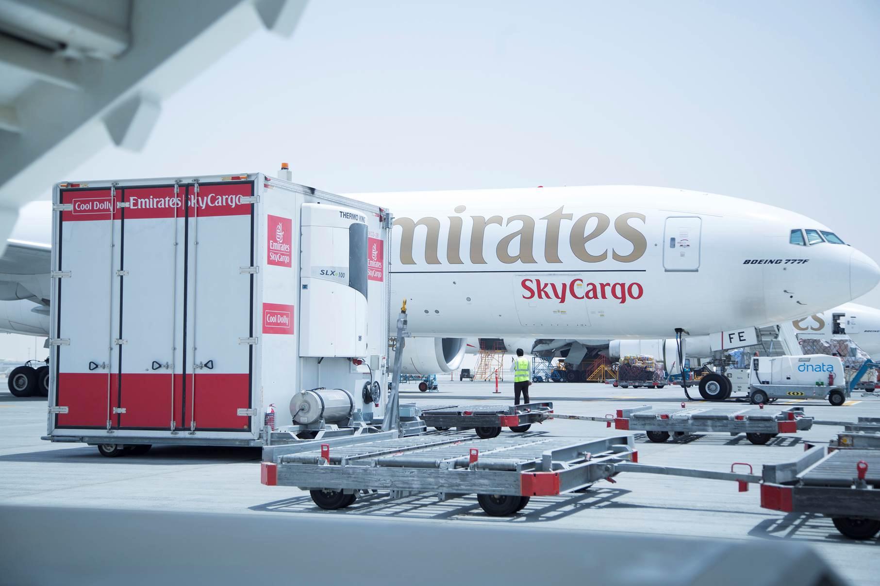 Self Photos / Files - EK SkyCargo