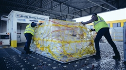 DHL vaccine delivery