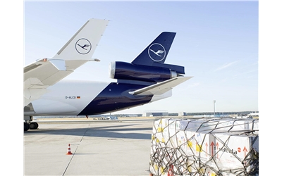 LH MD11 tail