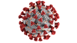 Optimized-coronavirus-3992933