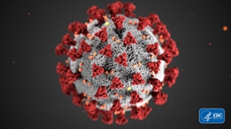 coronavirus_dark