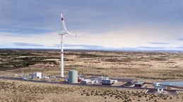 800_haruoni-site