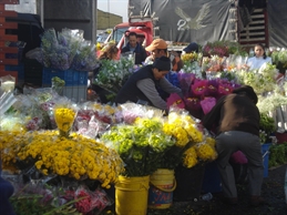Bogota Flower Market