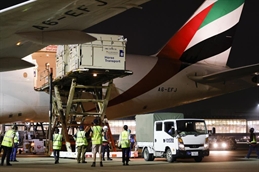 Emirates-SkyCargo-horse-transportation