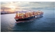 MSC20003552