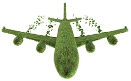 iStock-146912917