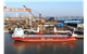 dShip Carrier
