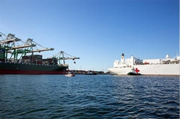 TEU