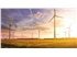 WIND FARM iStock-958789228