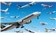 Webp.net-resizeimage-47