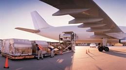 Air Cargo