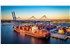 Leatherman Terminal _Photo - SCPA - Walter Lagarenne__sm