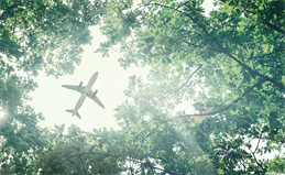 web_plane_enviromental_iStock-1090204598-2