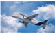 Beluga_Transport_in_the_Air