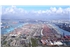 amazonehaven-basin-port-of-rotterdam