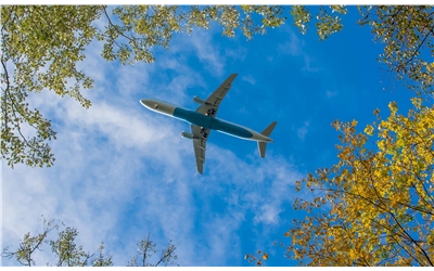 bigstock-Plane-beneath-trees-56126549
