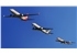 Webp.net-resizeimage (65)
