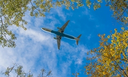 bigstock-Plane-beneath-trees-56126549