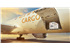 etihad-cargo-hope (1)