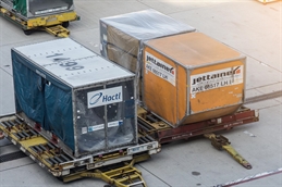 Hactl container iStock-1068156882