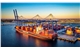 Leatherman Terminal _Photo - SCPA - Walter Lagarenne__sm