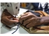 person-putting-thread-through-a-needle-of-a-sewing-machine-3342364