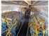 Scoot A320 preighter