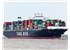 YangMingboxshipcontainershipYMWorthleavesport-stock-creditshutterstock_432184228-1