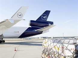 LH MD11 tail