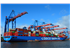 cosco-shipping-ports-2