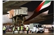 Emirates-SkyCargo-horse-transportation